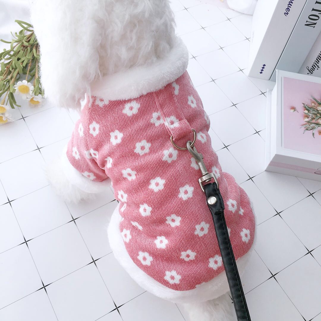 泰迪冬季衣服比熊雪纳瑞小型犬秋冬装两脚加厚衣宠物猫咪加绒棉衣