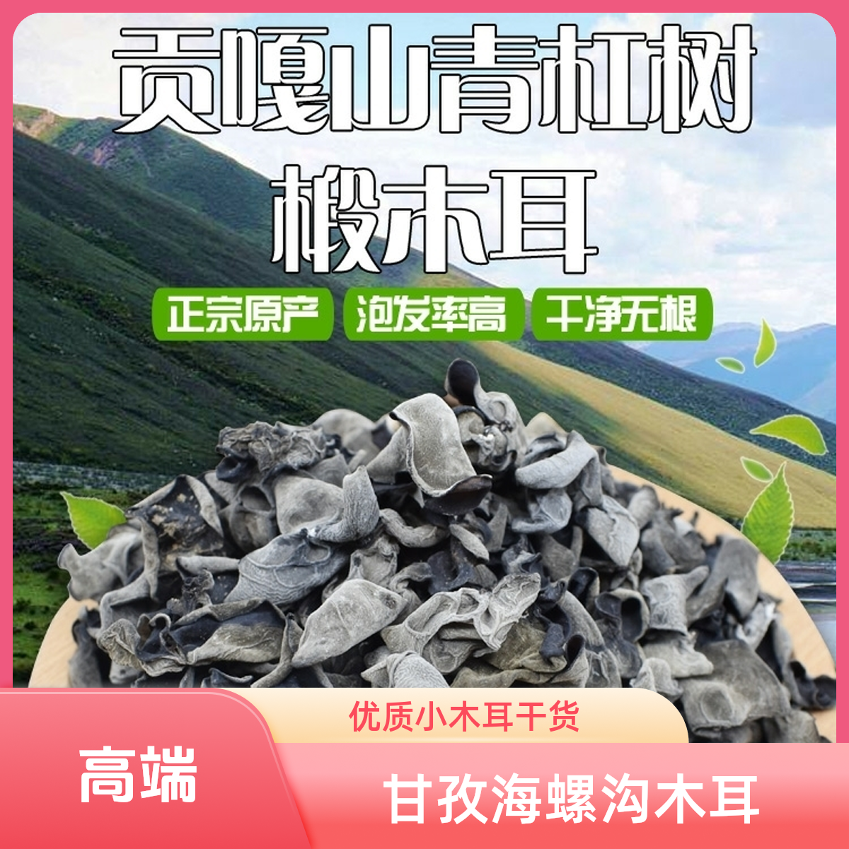 甘孜海螺沟特产高原椴木优质小木耳2025新品干货炒肉涼拌２５0g包邮