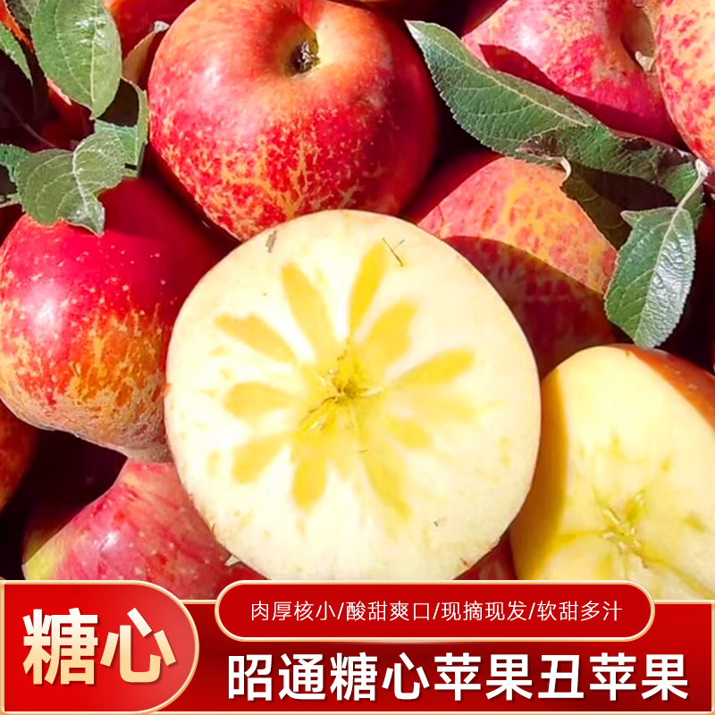 云南昭通冰糖心丑苹果新鲜脆甜多汁原生态现摘现发