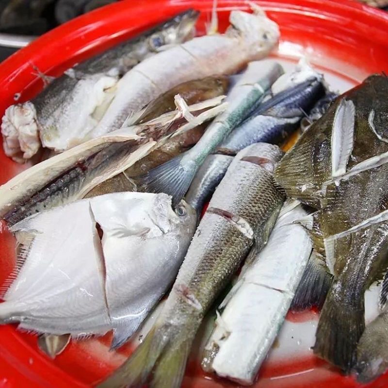 新鲜海杂鱼3斤包邮   江苏连云港发货