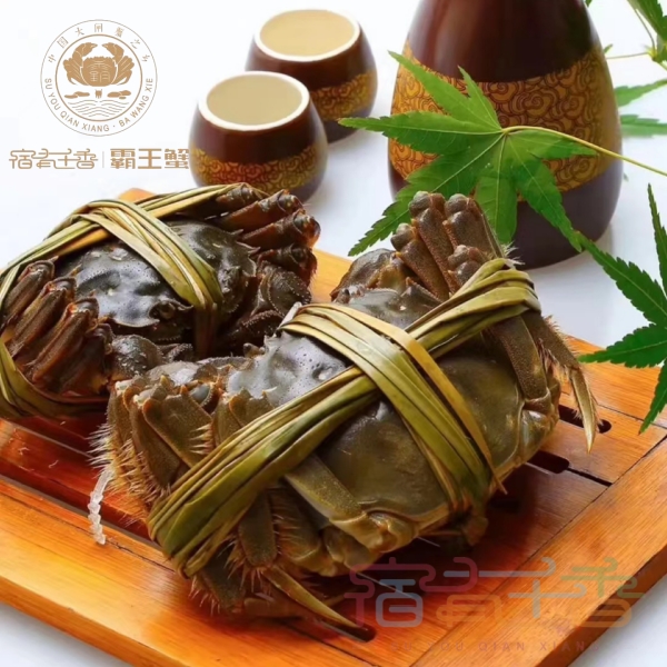 【鲜活送到家】2.3-2.8鲜活六月黄螃蟹大闸蟹鲜活现货螃蟹批发超值送到家