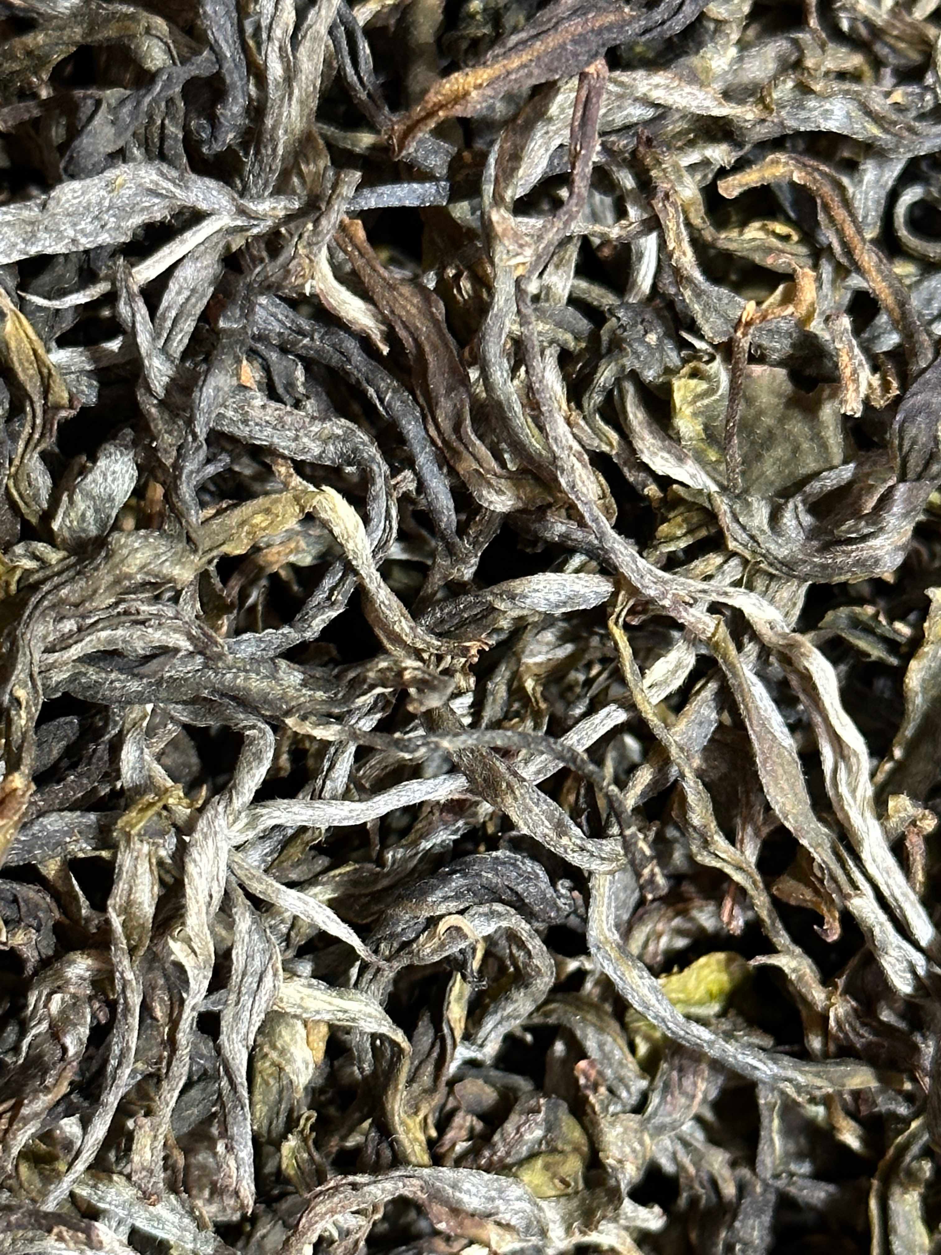 2024年帕沙犀牛塘茶王地普洱古树挑采100克（散茶）