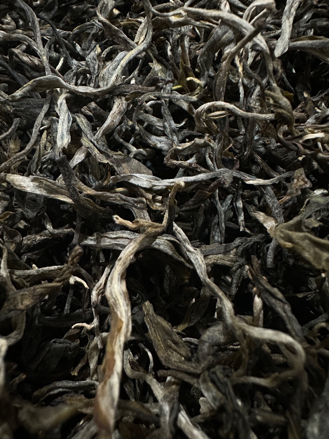 2024年帕沙犀牛塘普洱古树清除地块1克（散茶）