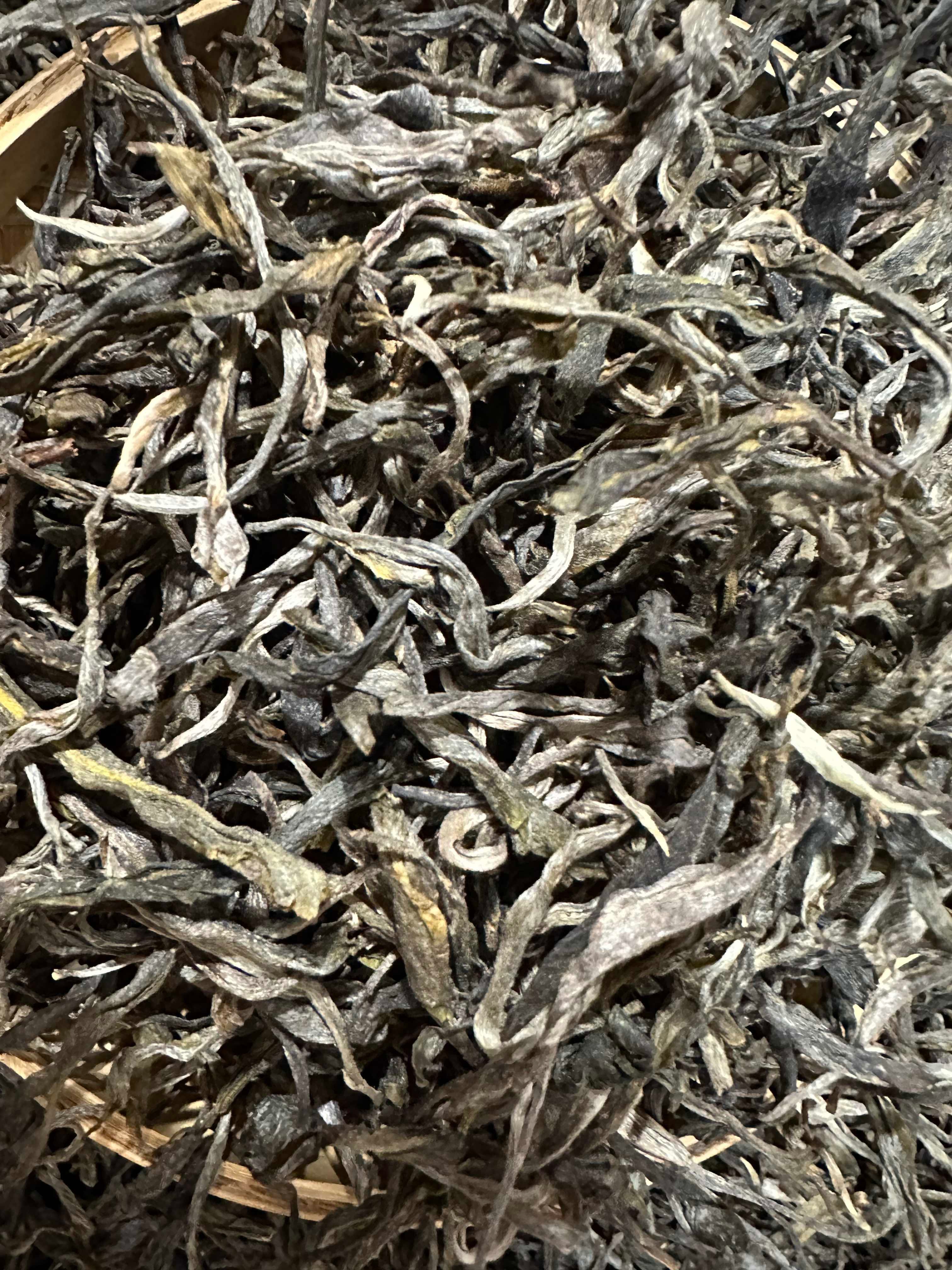 2022年帕沙大树头春头采普洱生茶100克（散茶）