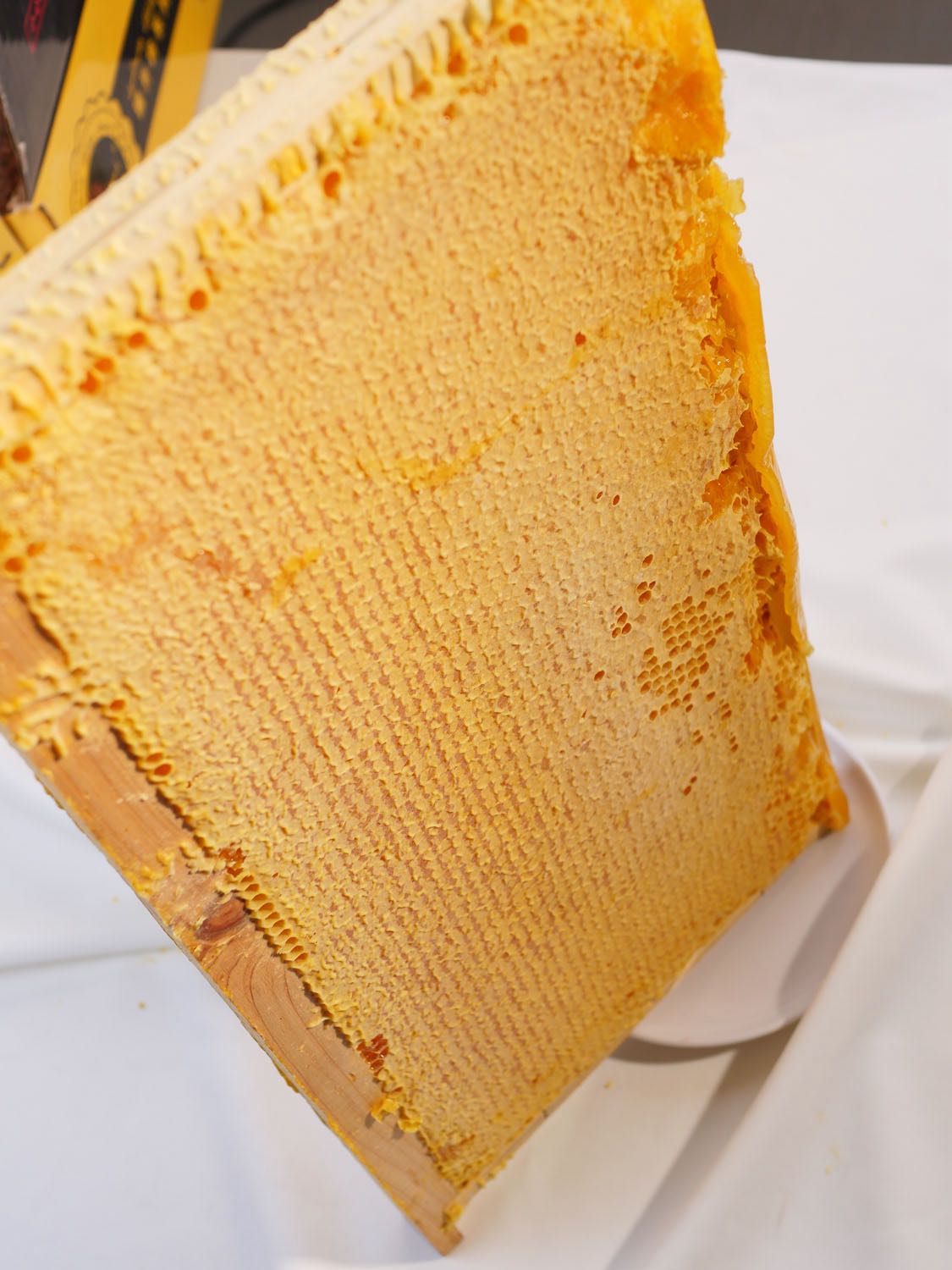 konaga hasal 蜂巢蜜2.7kg~3.1kg /板 新疆蜂蜜包邮