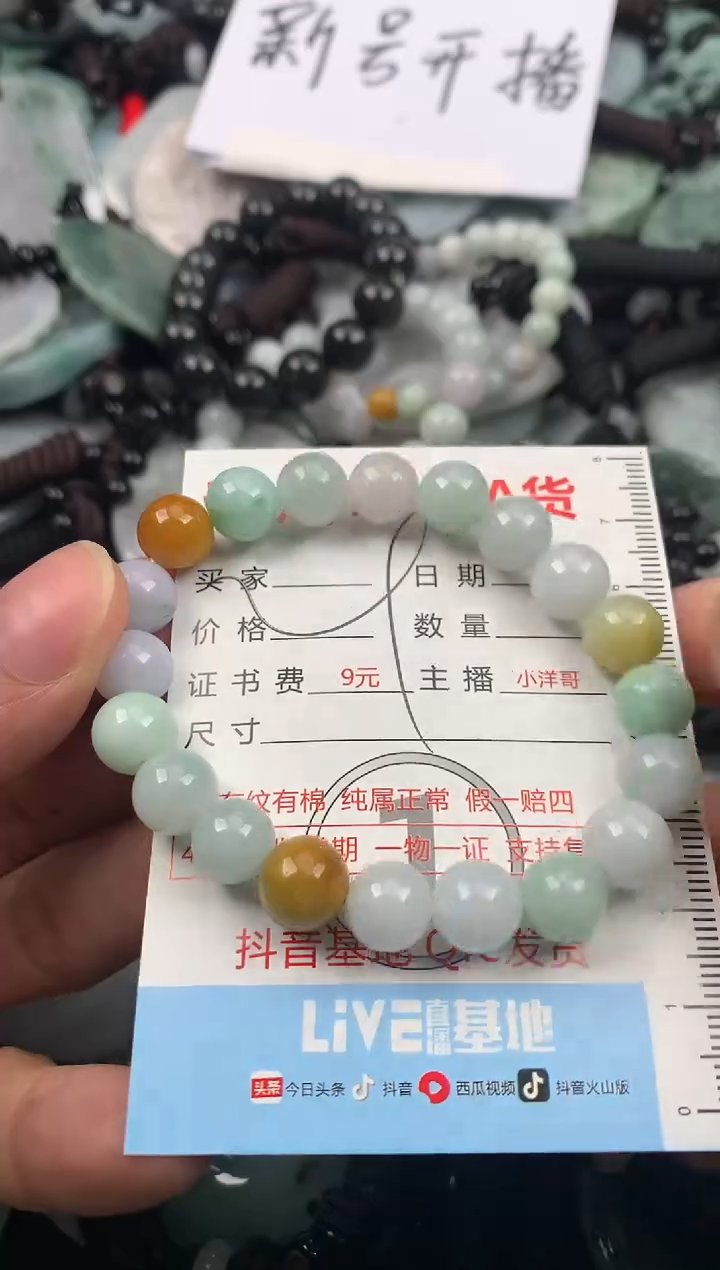 【闪购商品】翡翠颈饰未镶嵌1