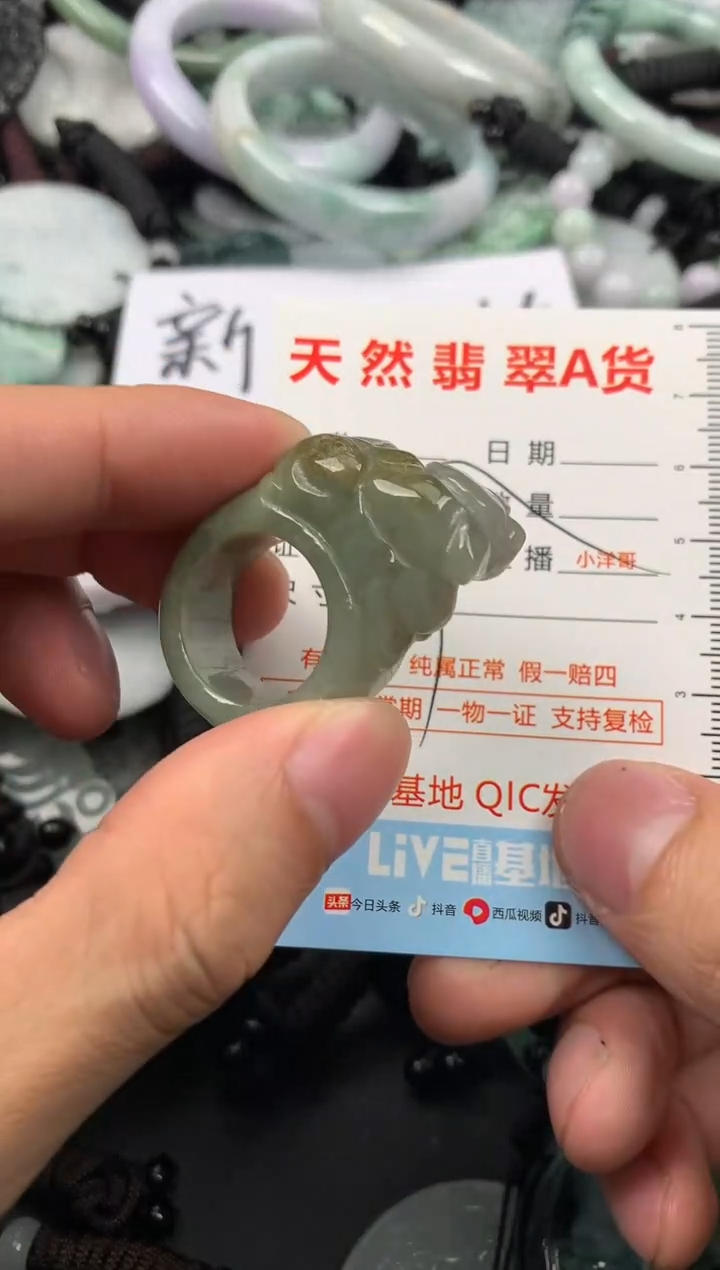 【闪购商品】翡翠颈饰未镶嵌1