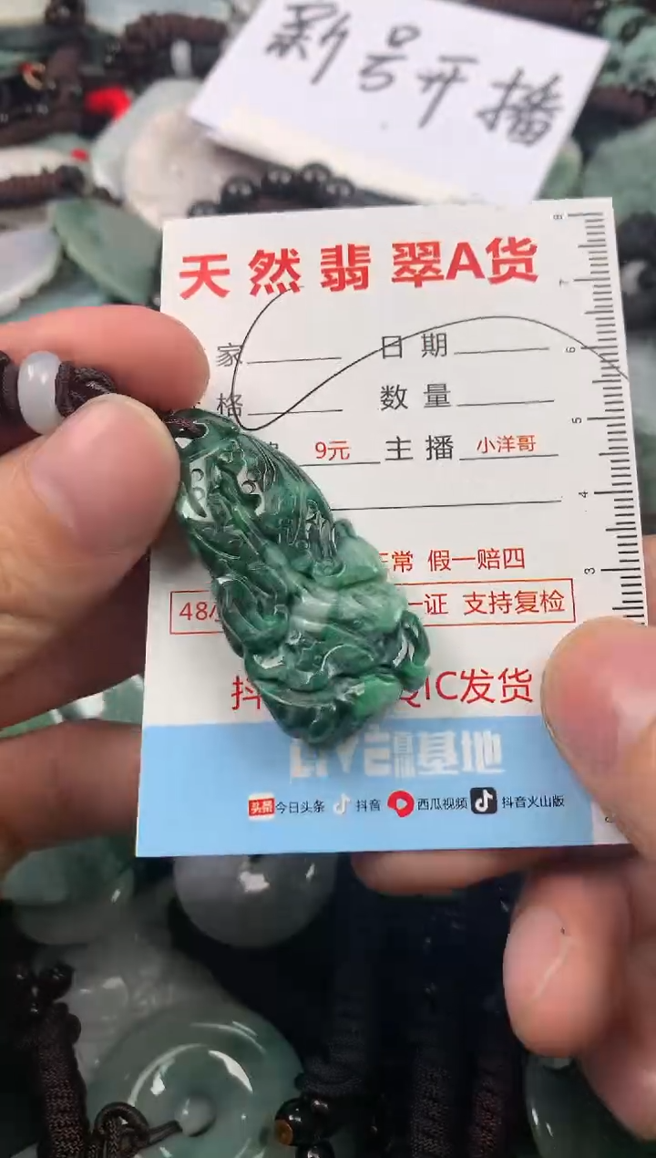 【闪购商品】翡翠颈饰未镶嵌1