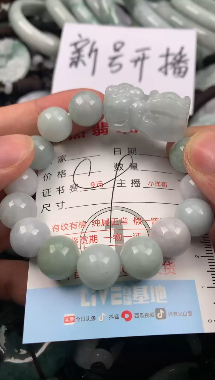 【闪购商品】翡翠颈饰未镶嵌1