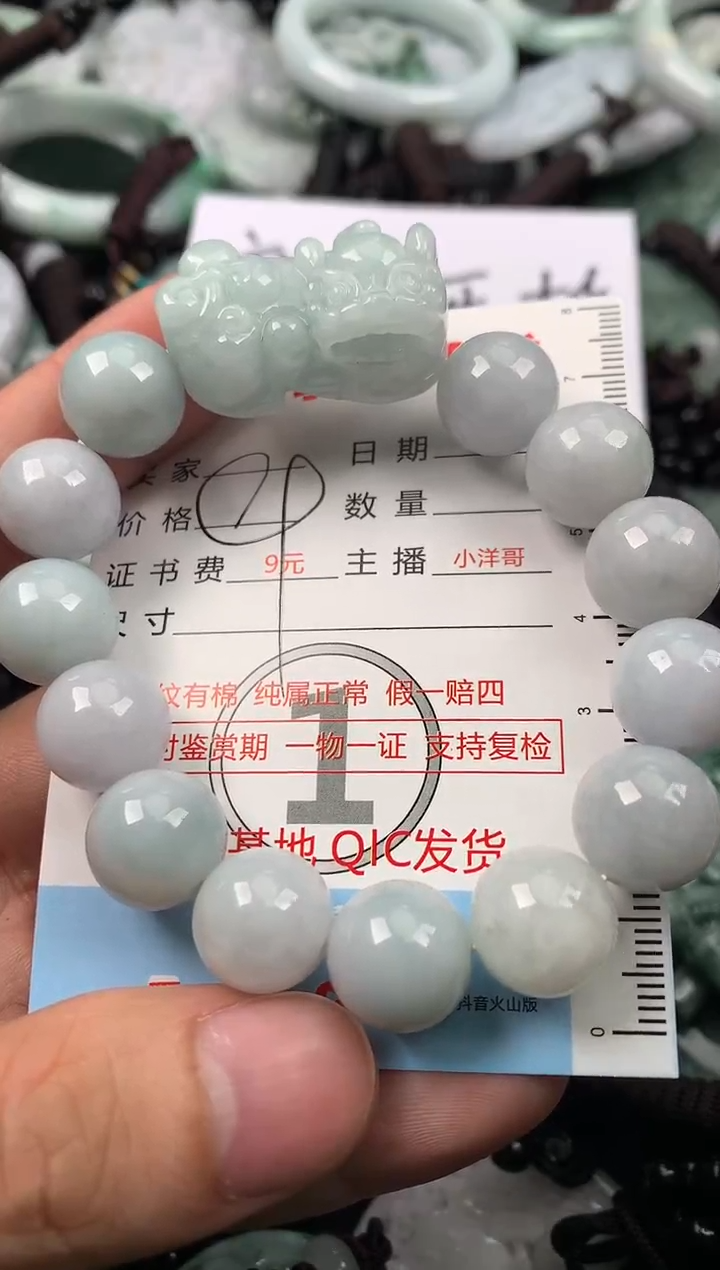 【闪购商品】翡翠颈饰未镶嵌1