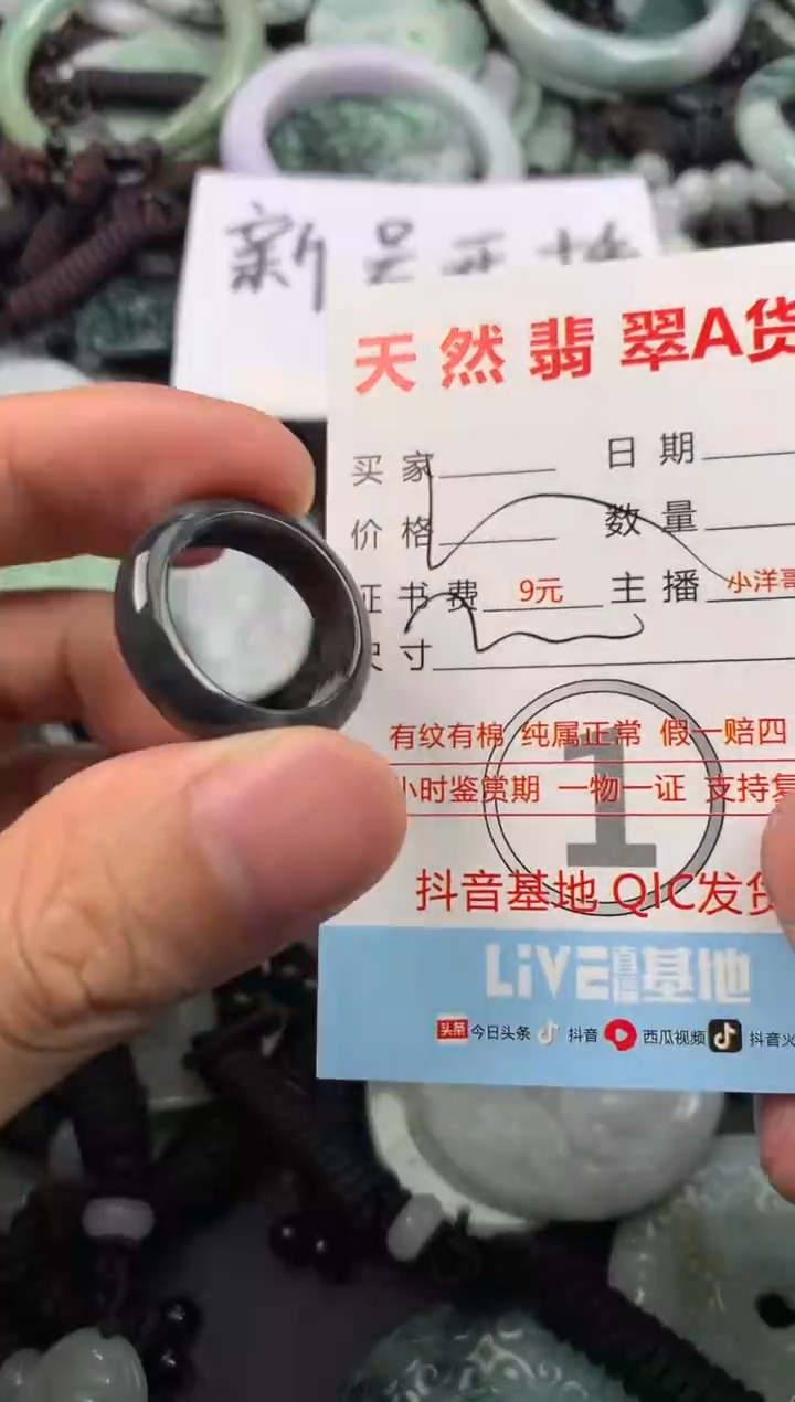 【闪购商品】翡翠颈饰未镶嵌1