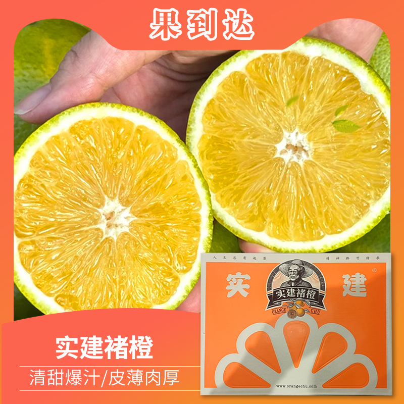 【坏果包赔】云南高原实建褚橙净重6斤（果子花皮属于正常介意勿拍）