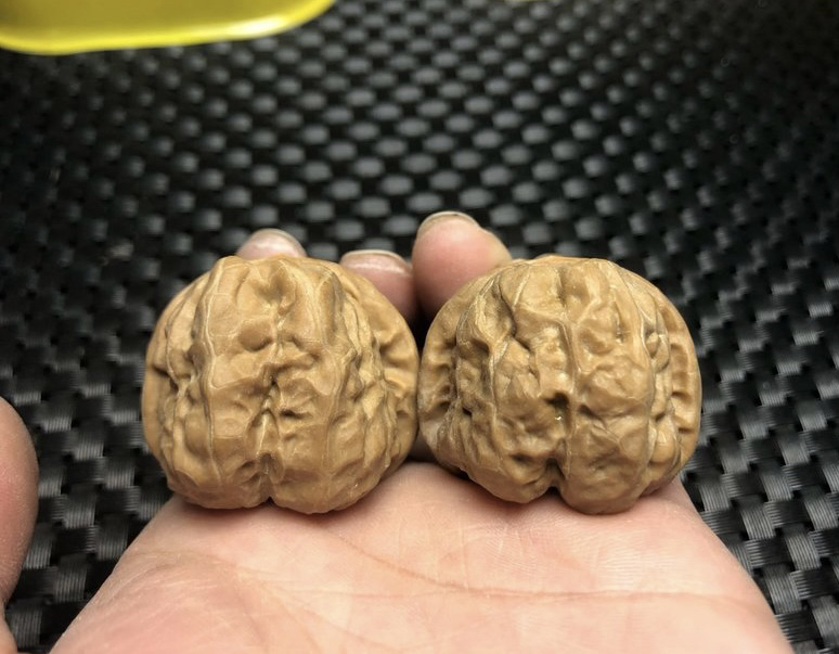 文玩核桃 直播选货 一物一拍