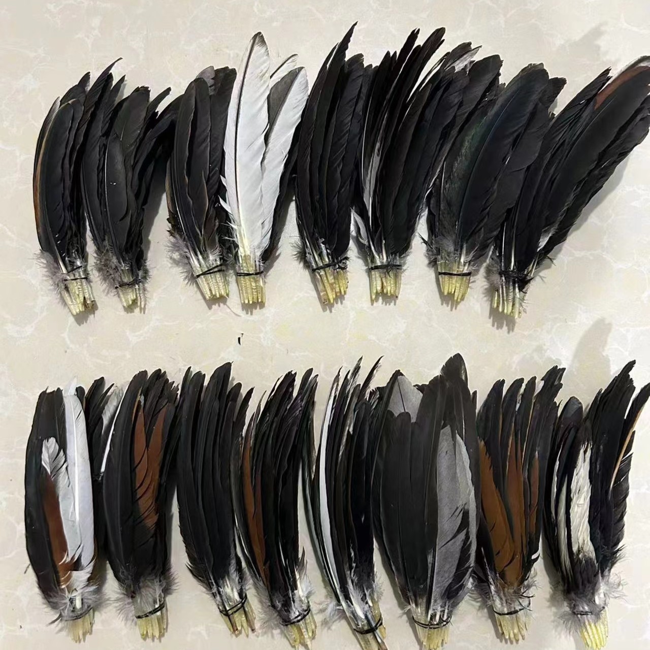 各类斗鸡羽毛，左右各18-20根左右 一对 包邮 吃肉斗鸡 冷冻发货