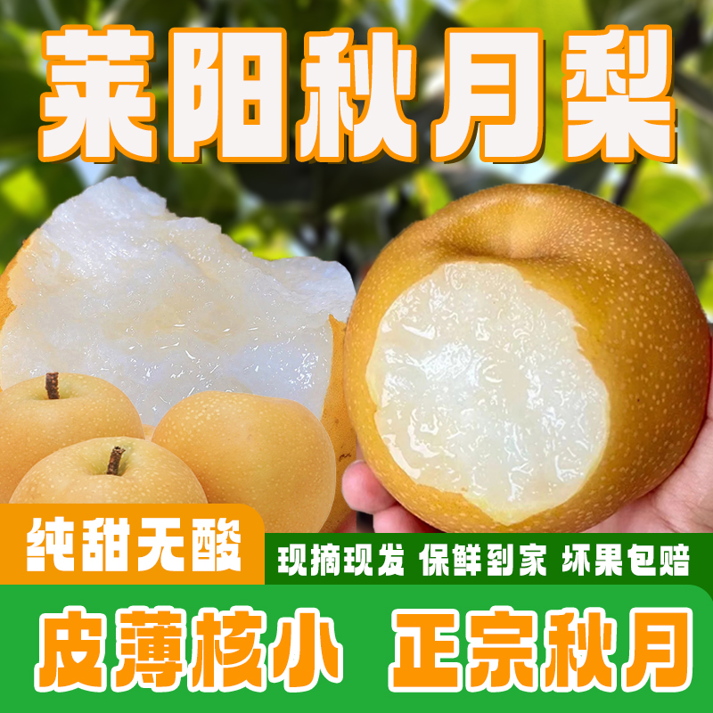 【爆甜】山东当地莱阳秋月梨脆甜风扇多汁新鲜梨子应季