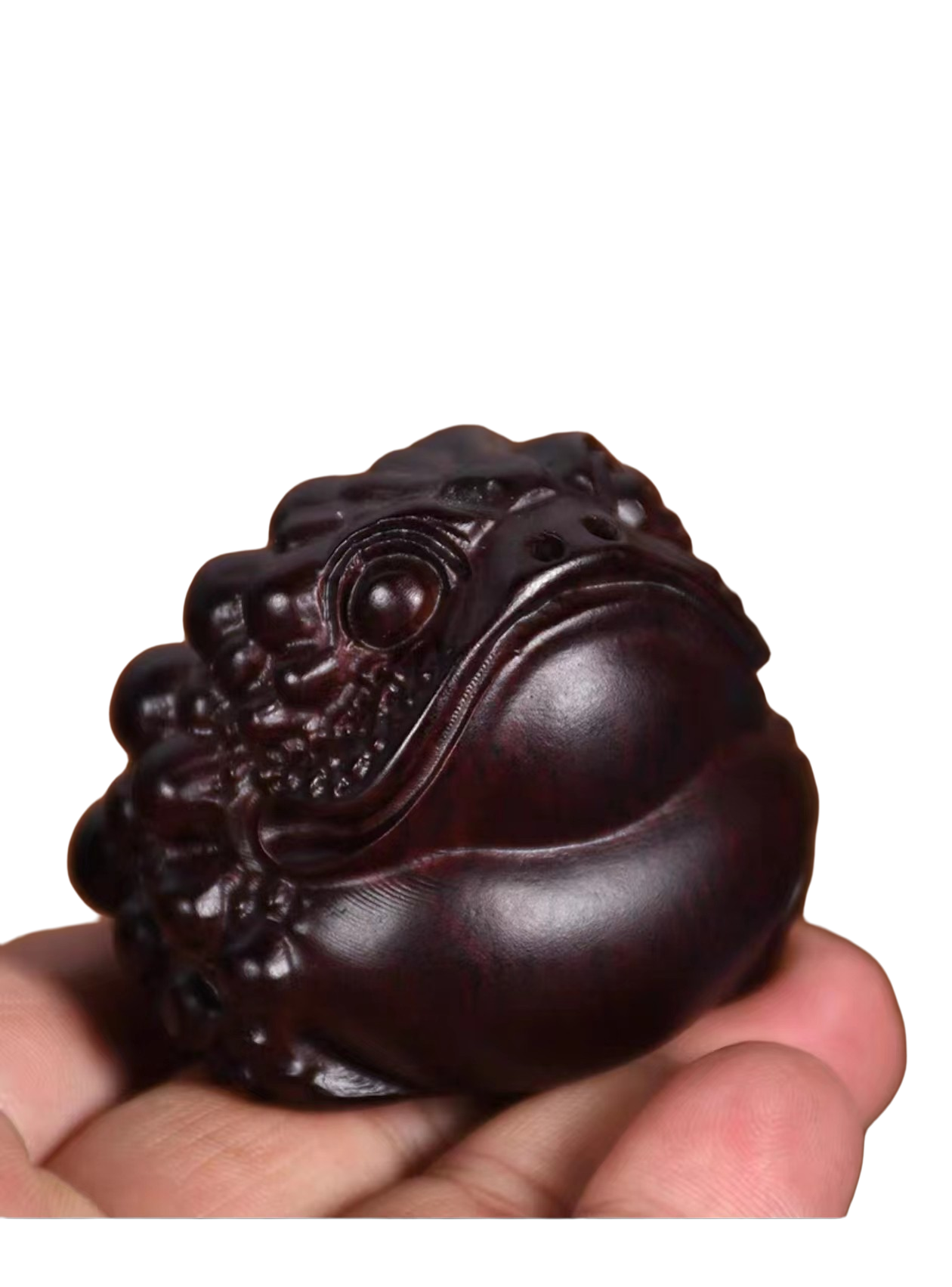 【直播推荐】金蟾摆件