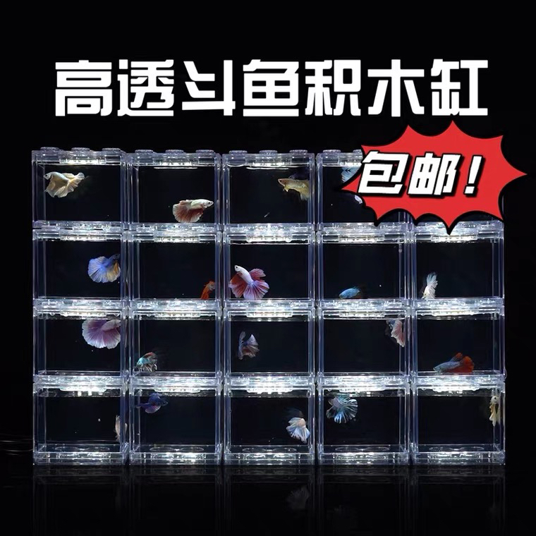 高清亚克力积木鱼缸泰斗观赏鱼品质鱼缸