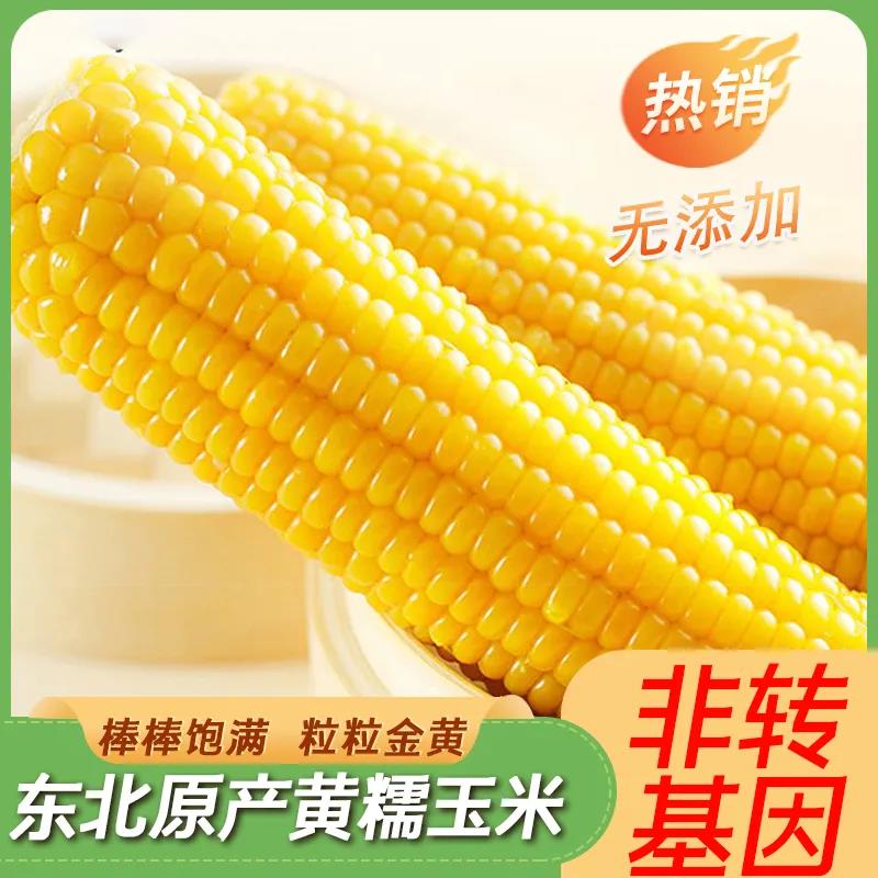 【新粉必囤】傻小胖正宗甜糯鲜玉米真空包装2支装*4袋 1小时锁鲜