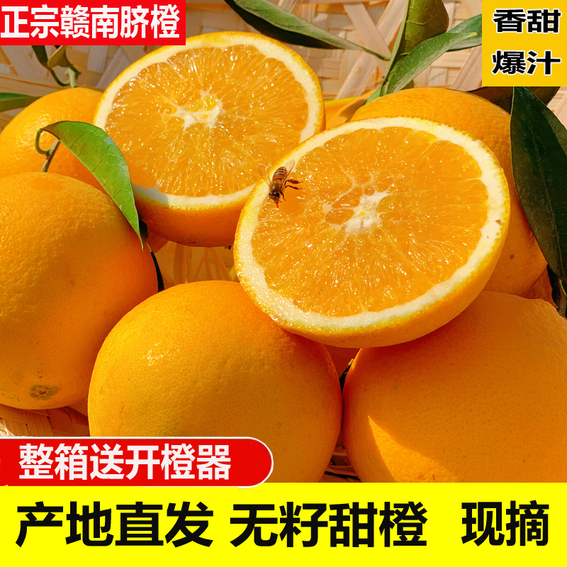 正宗江西赣南信丰脐橙当季5/10斤装新鲜甜橙子水果现摘坏果包赔