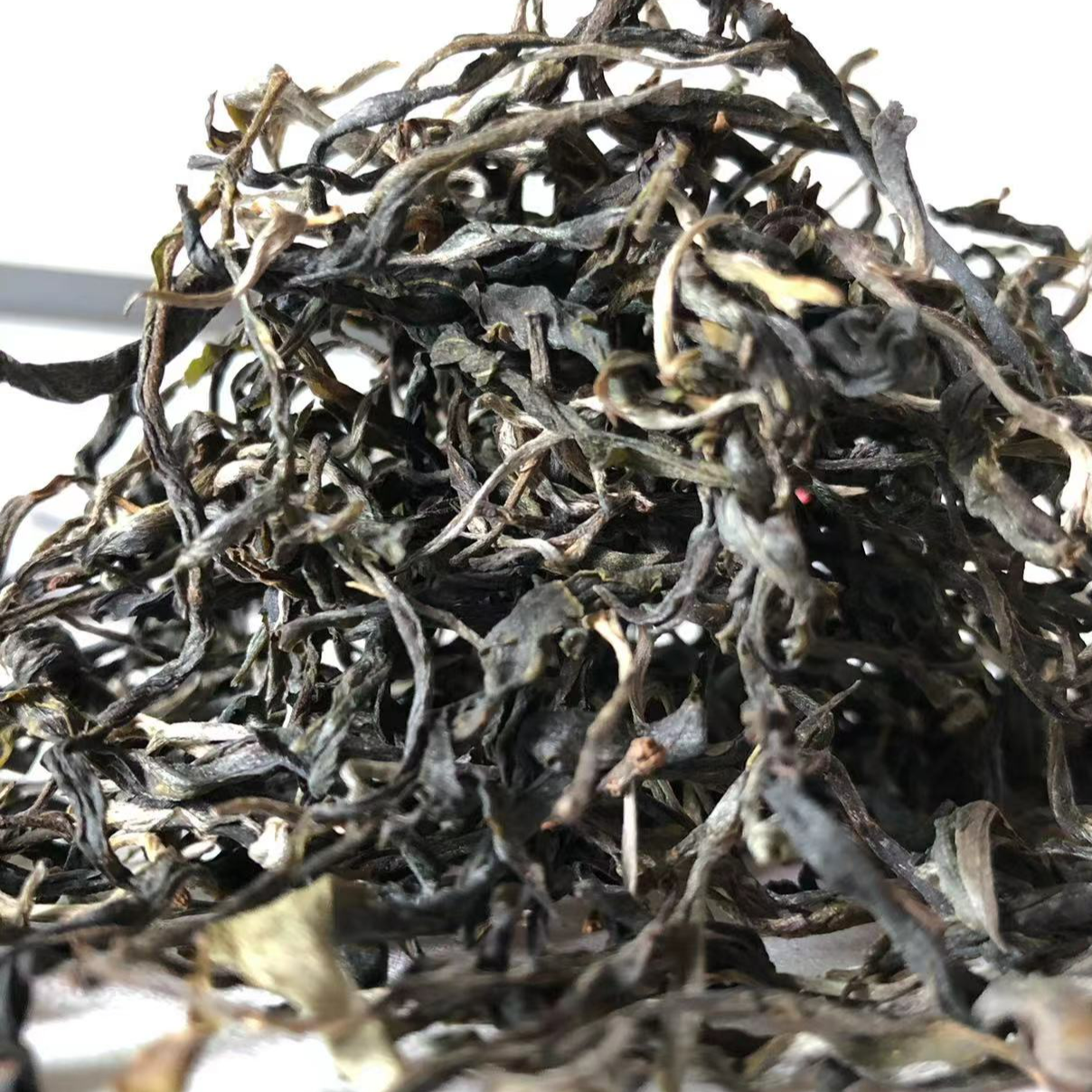 24年 蛮砖 头春 传统手工 普洱生茶 200g散茶