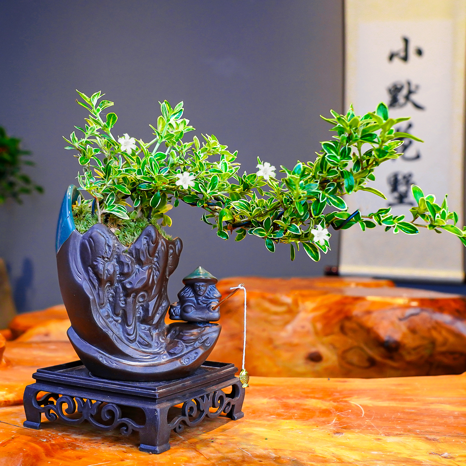 【悬崖六月雪】飘枝中式禅意室内会开花绿植花卉盆栽植物办公室盆景