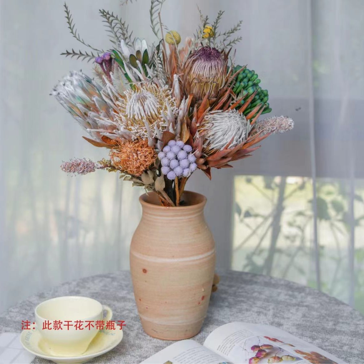 【南非进口干花】  高级感 存放时间久