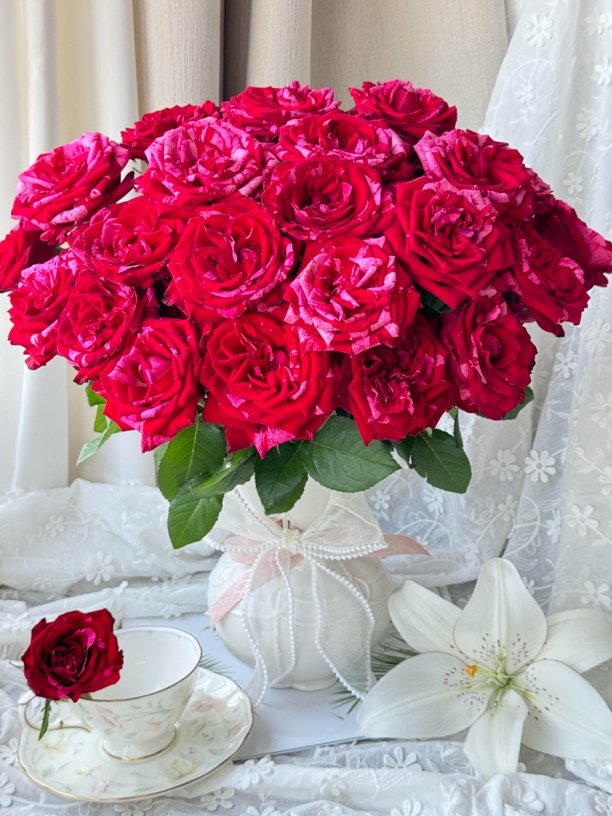 幸运女神玫瑰渐变色稀有品种水培鲜花