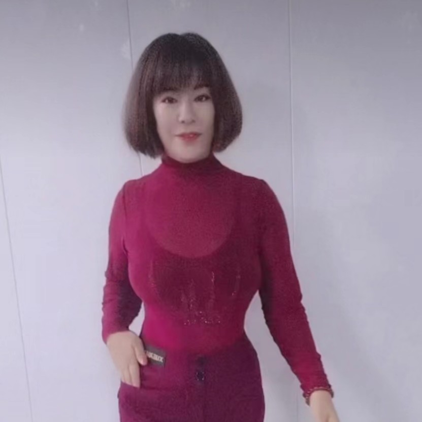 【浩婷雪娟】高领毛边净版网纱连体衫