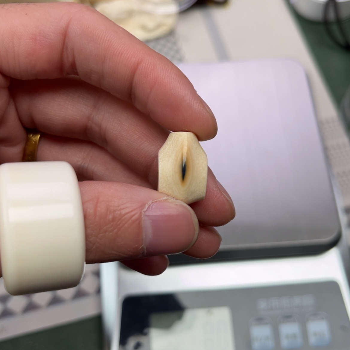 【闪购商品】猛犸牙根雕