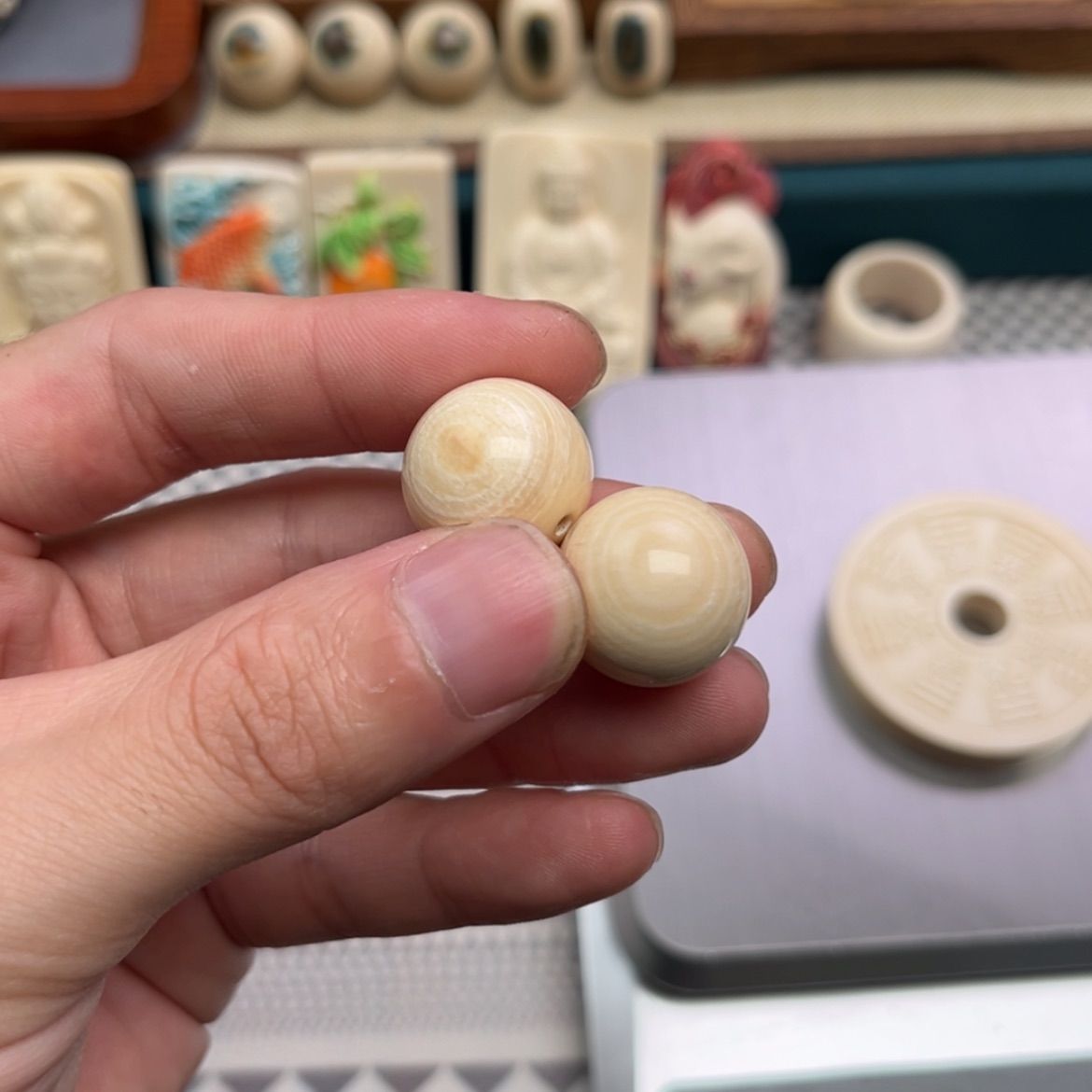 【闪购商品】猛犸牙根雕