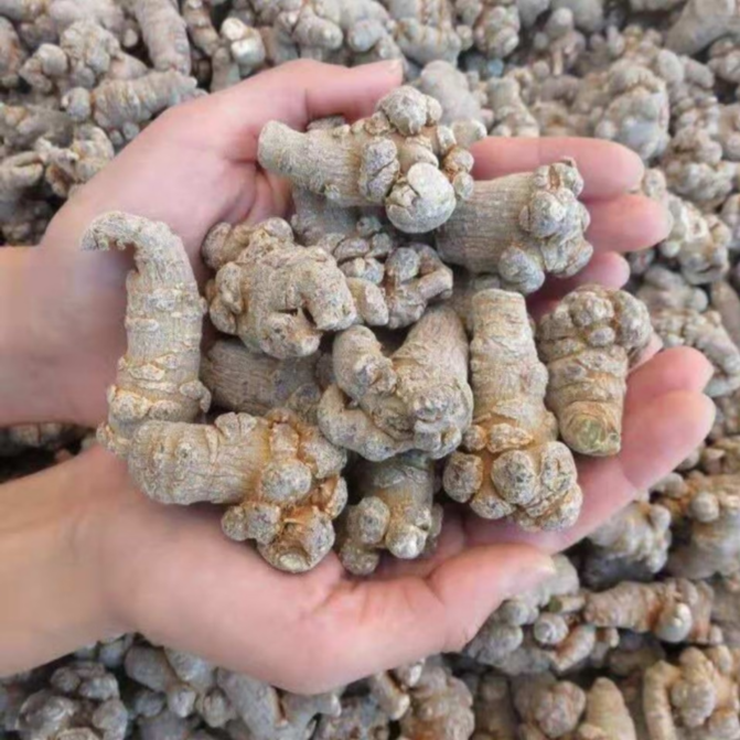 【阿宽推荐】精选晒干食用散装滑头三七---------菜叶子