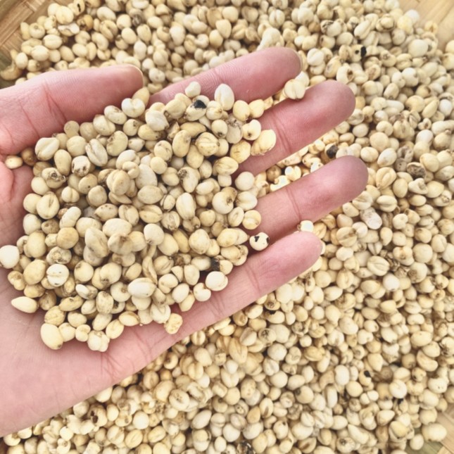 【大成推荐】精选散装称重1贝母===菜叶子===食用