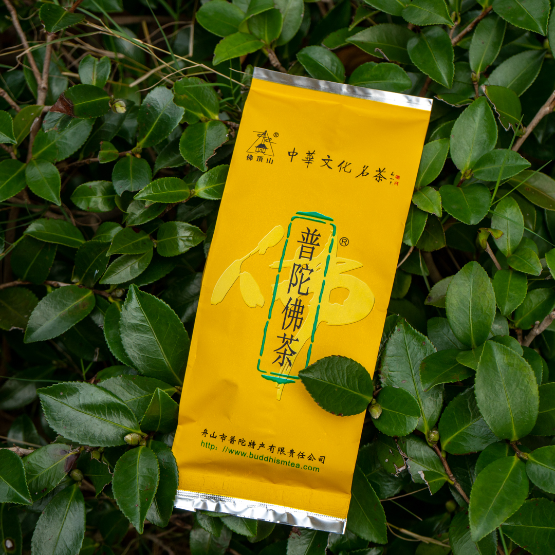 2024年新茶普陀绿茶100克二级新茶特惠家庭装舟山普陀山特产茶叶