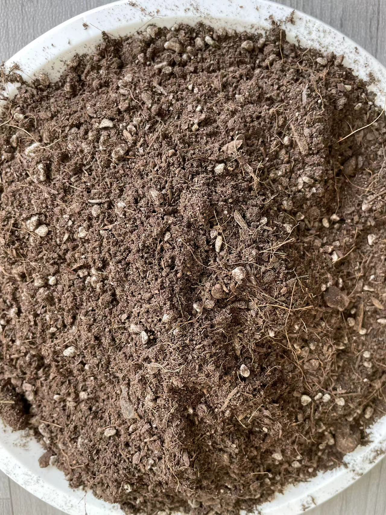 营养土绿植盆栽专用土