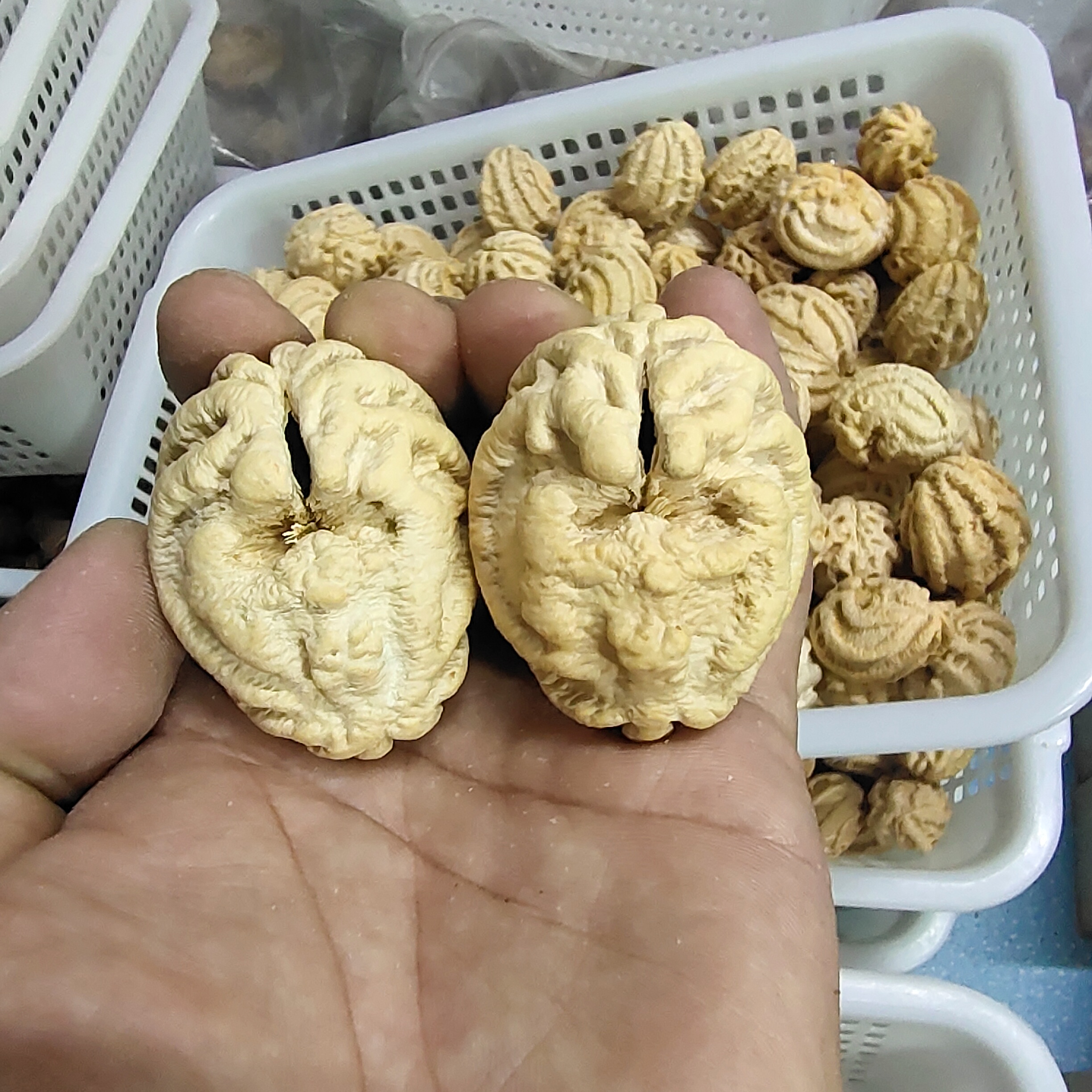 乾坤鬼脸异形核桃斗战圣核大粗筋上色快包浆快盘玩内里晃仁摇响