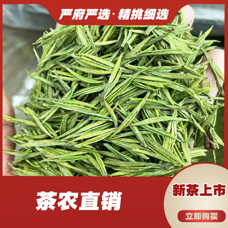 288（2025）新茶高山兰花小芽严府绿茶白茶高山茶叶正味兰花香