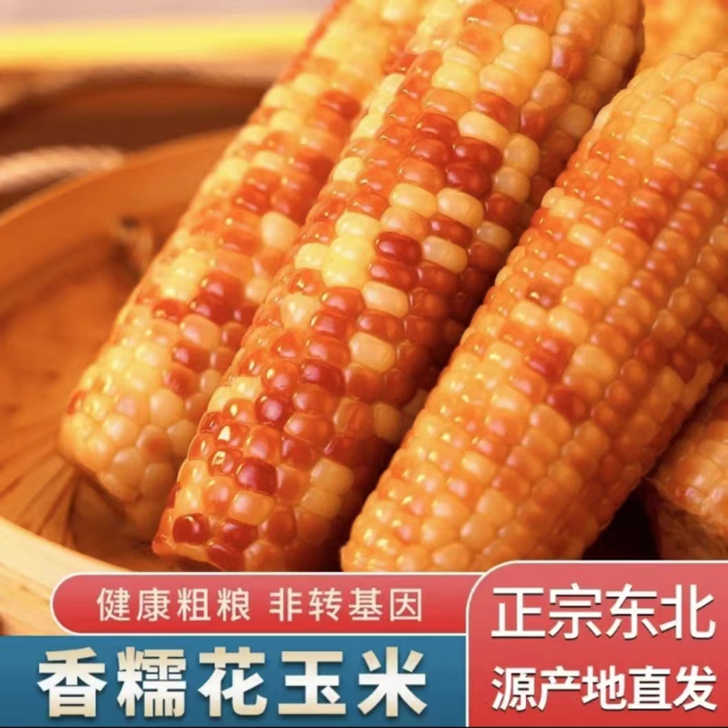 2024年东北新鲜花糯玉米280g-350g*一箱6-7斤带甜粒软糯