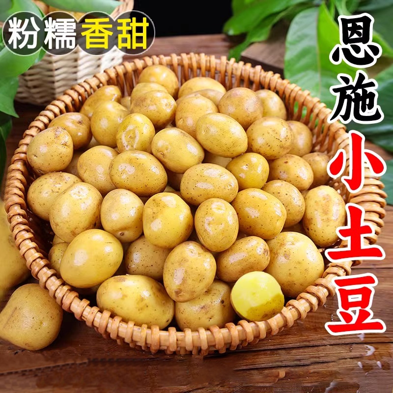 新鲜富硒黄心小土豆马铃薯农家原生态自种植美味营养细腻清香好吃