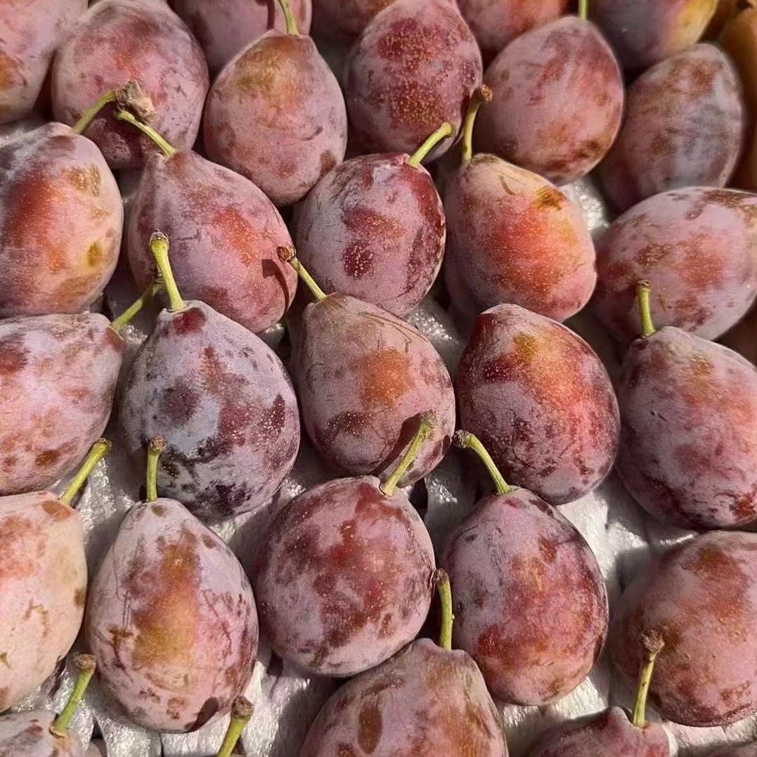 皮薄肉厚西梅（尾季不是特别硬）