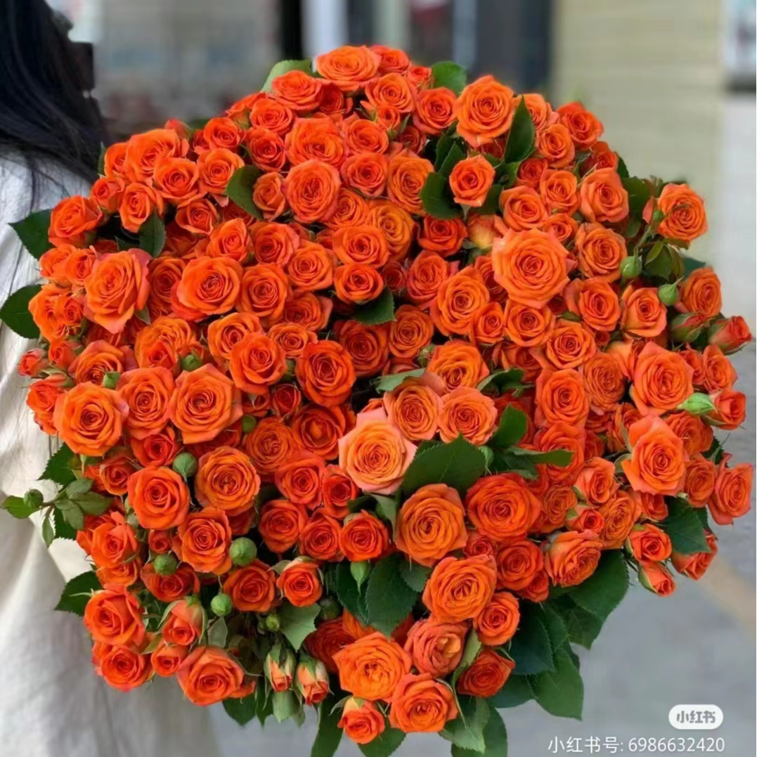 云南鲜花基地【橙芭比多头】收到花一定要醒花， 不会的请联系客服