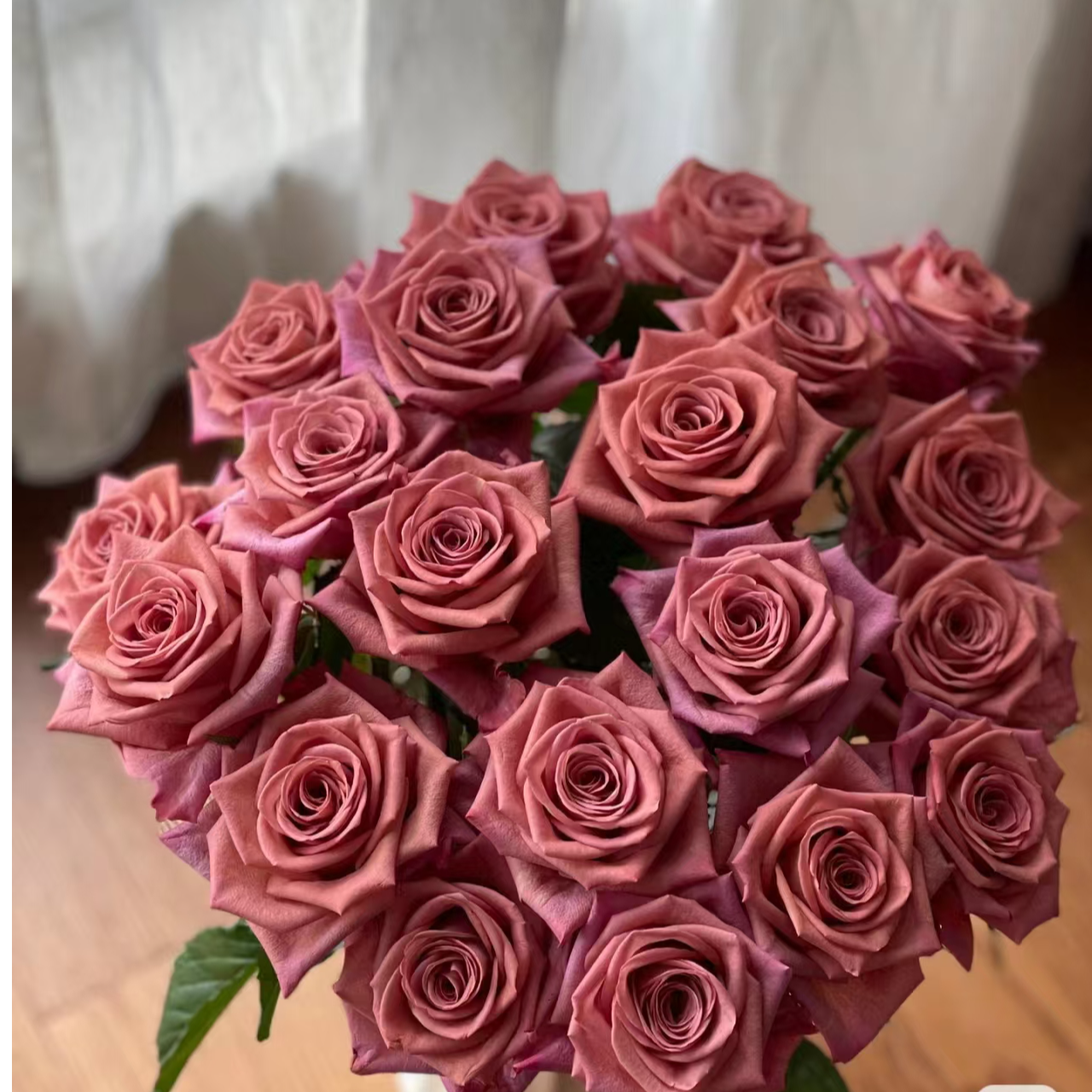 调香师玫瑰【收到花一定要醒花，不会的请联系客服】