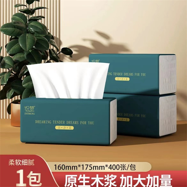 【大小扬哥推荐新人支付0.01购】家用餐巾纸400张加量餐巾纸大包5层