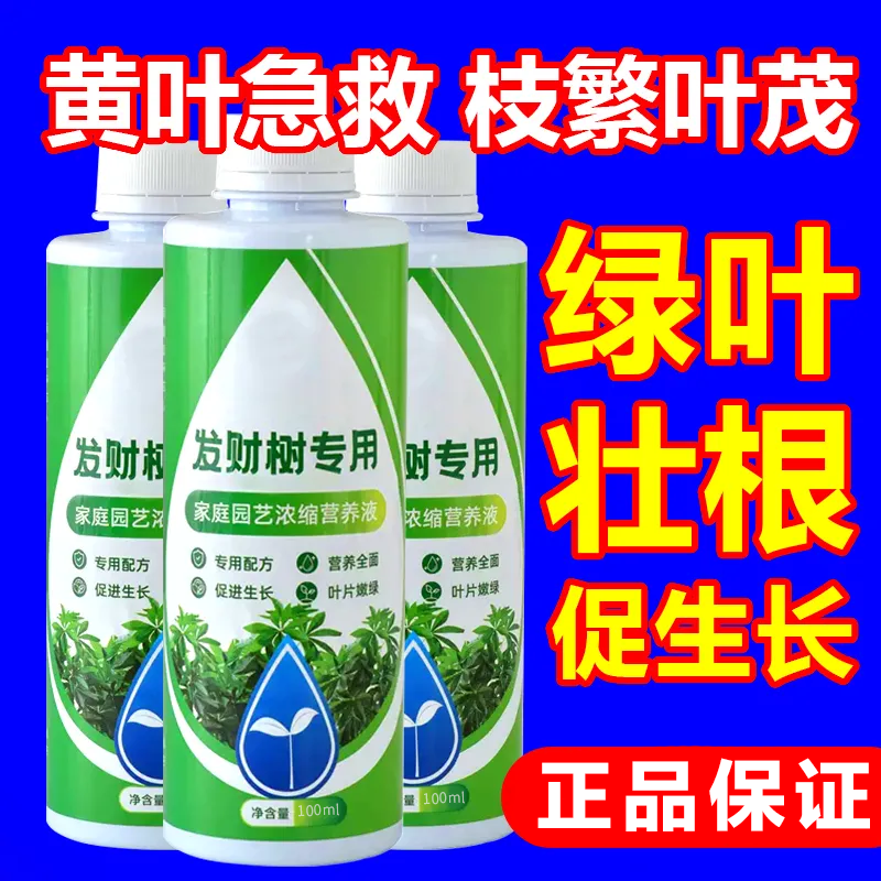 【发财树专用】家庭园艺发财树专用营养液水培生长土壤烂根