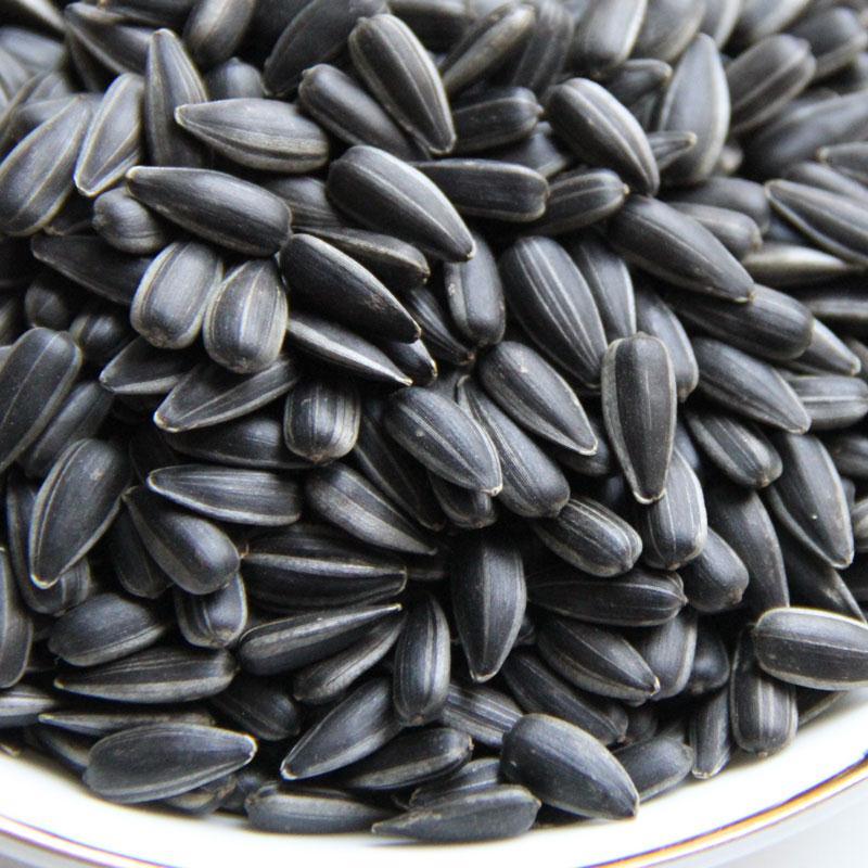 油葵黑珍珠瓜子小瓜子炒熟原味奶油味薄盐生油葵炒制葵花籽小瓜子