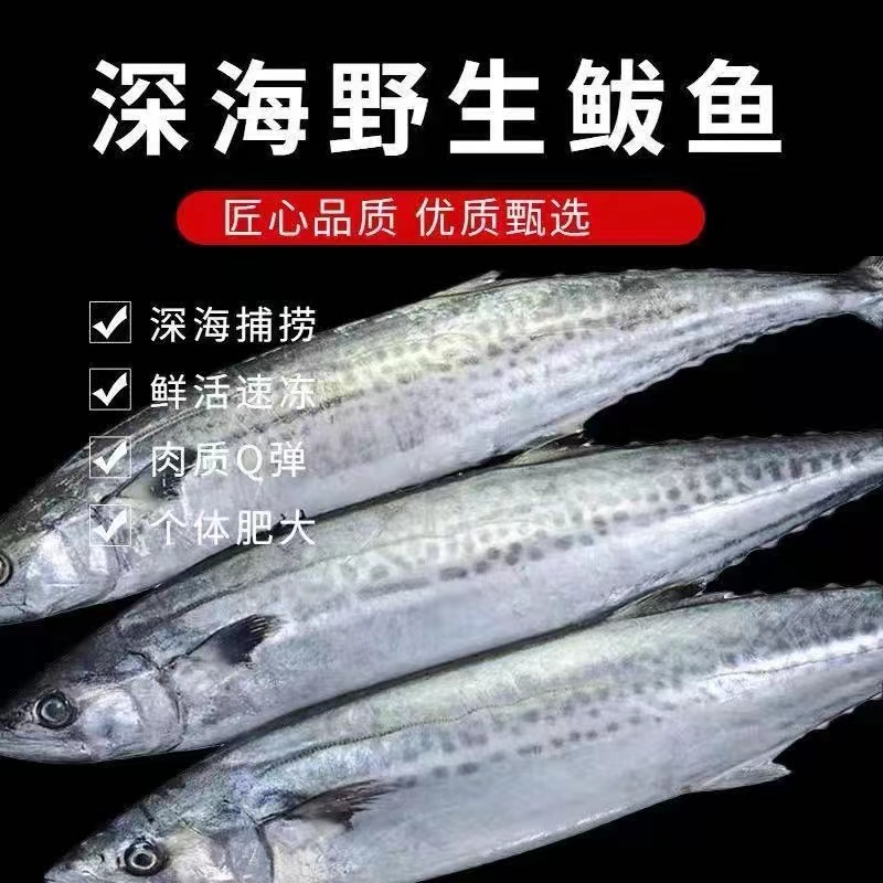 【礼品勿拍】新鲜冷冻马鲛鱼燕鲅鱼海鱼批发