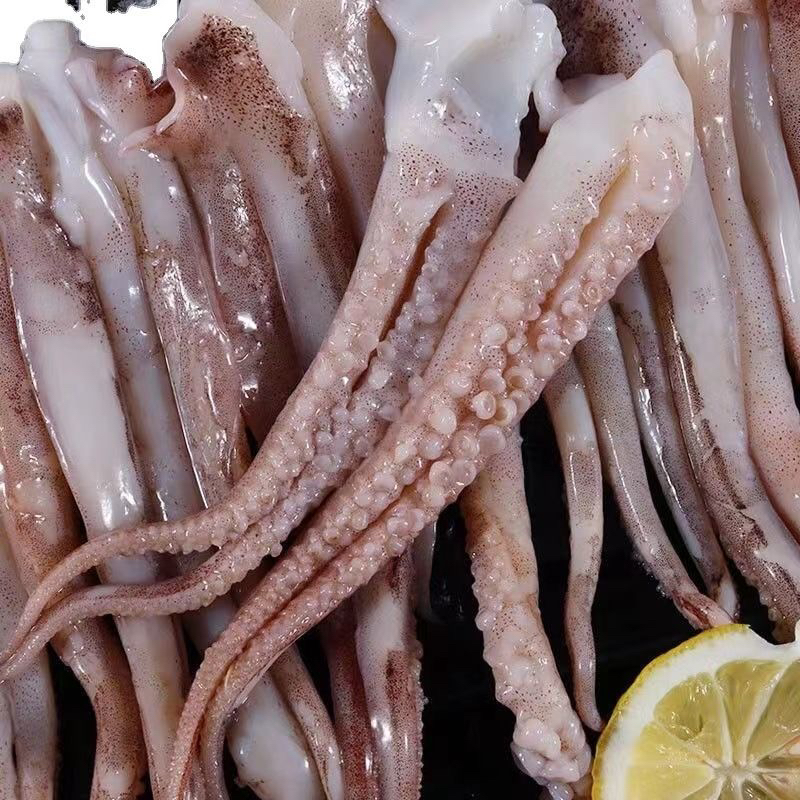 连云港发货 鱿鱼须新鲜速冻二本足铁板烧烤食材 每包500g