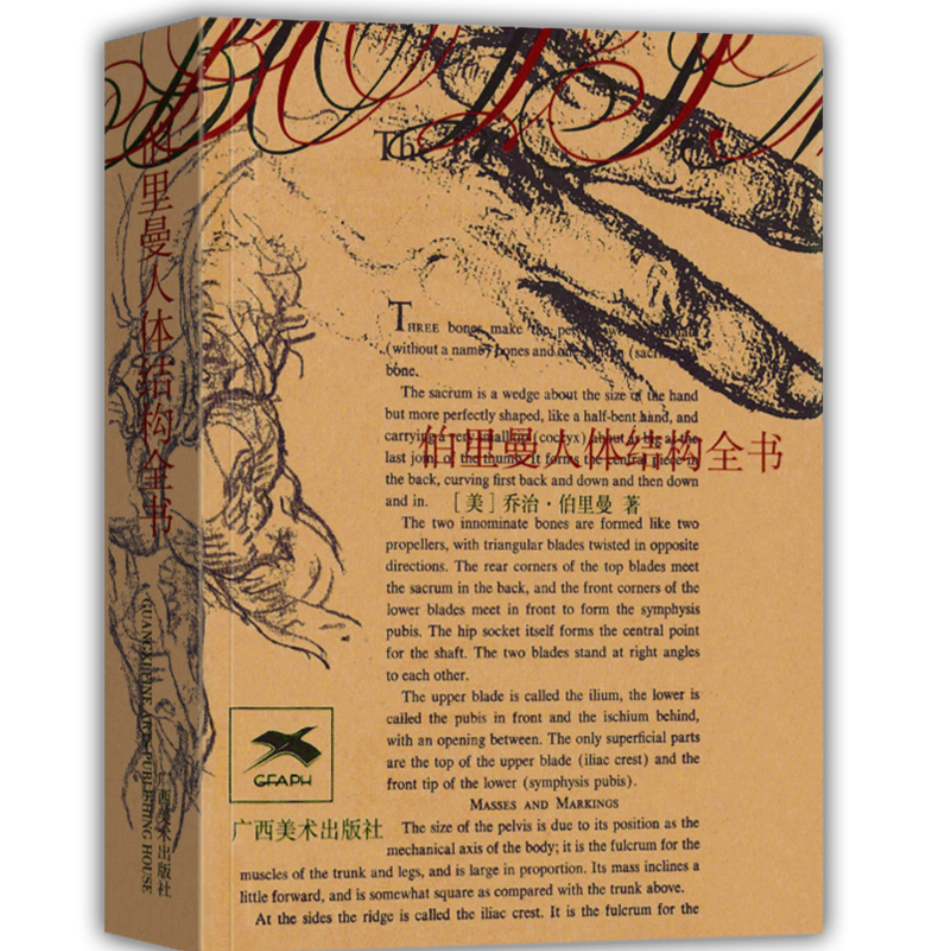 广西美术出版社伯里曼人体结构全书 美术