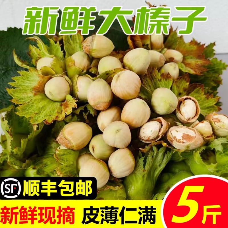  东北特产新鲜榛子水仁榛子大榛子5斤顺丰包邮