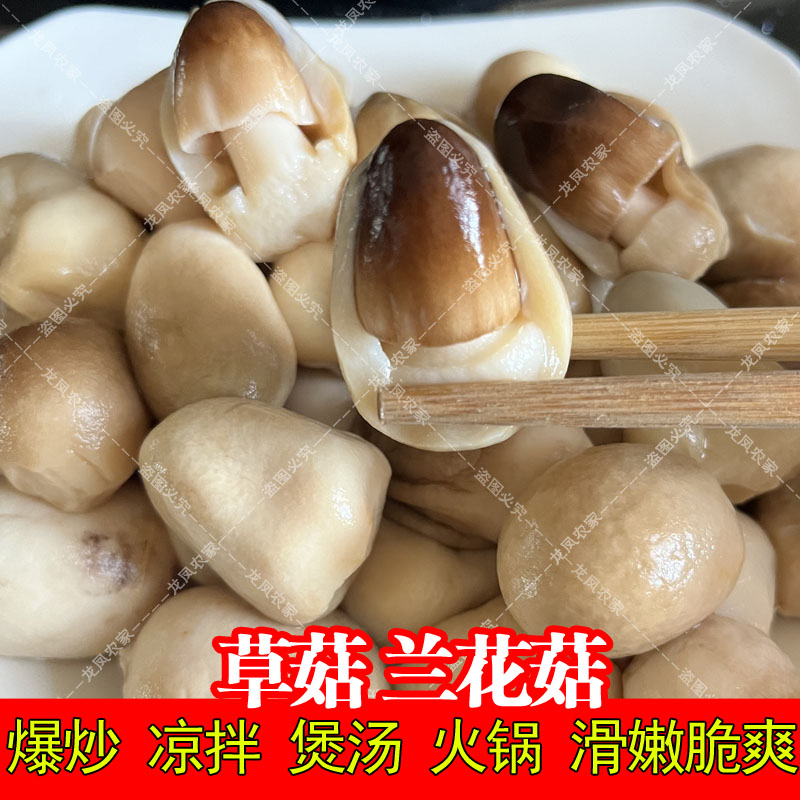 草菇新鲜口感袋装草菇罐头兰花菇食用菌凉拌爆炒煲汤均可