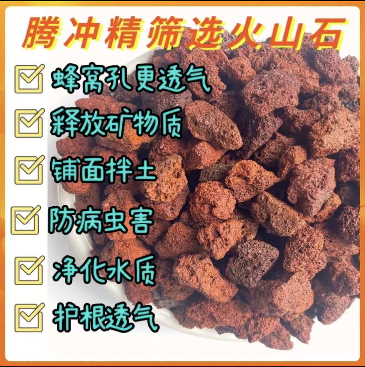火山石颗粒多肉兰花石斛拌土扑面垫底鱼缸底沙过滤多孔透气保湿